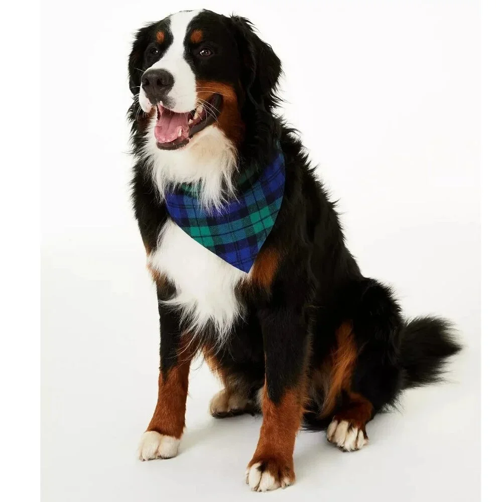 Family Pajamas Pet Dog Holiday Bandana Scarf, Blue Green Plaid, Large to XL